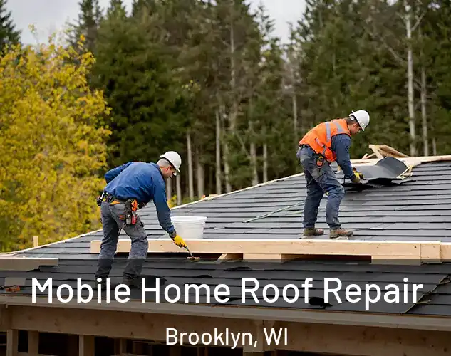  Mobile Home Roof Repair Brooklyn, WI