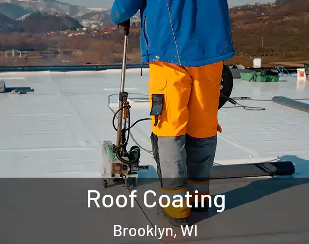  Roof Coating Brooklyn, WI