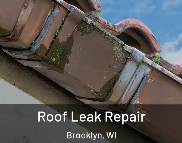  Roof Leak Repair Brooklyn, WI