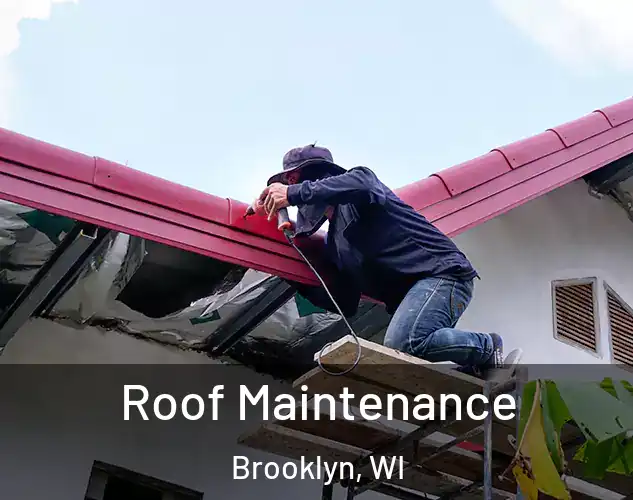  Roof Maintenance Brooklyn, WI