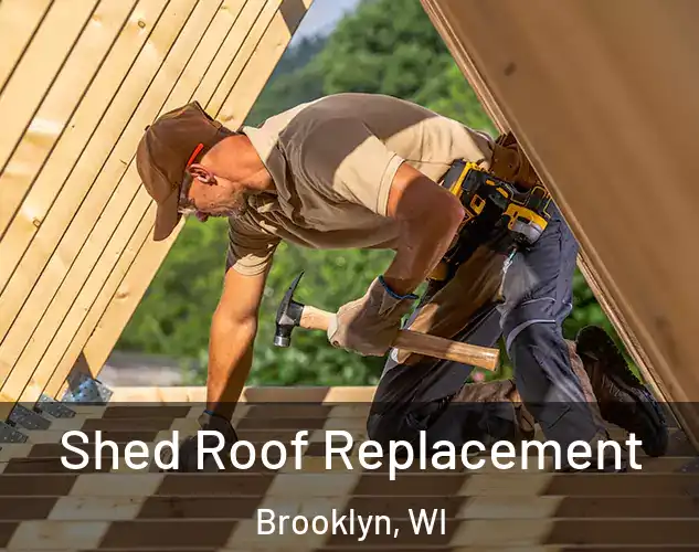 Shed Roof Replacement Brooklyn, WI
